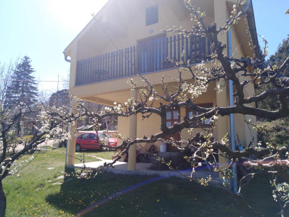 Dedinje Villa Jagodina Eksteriør bilde