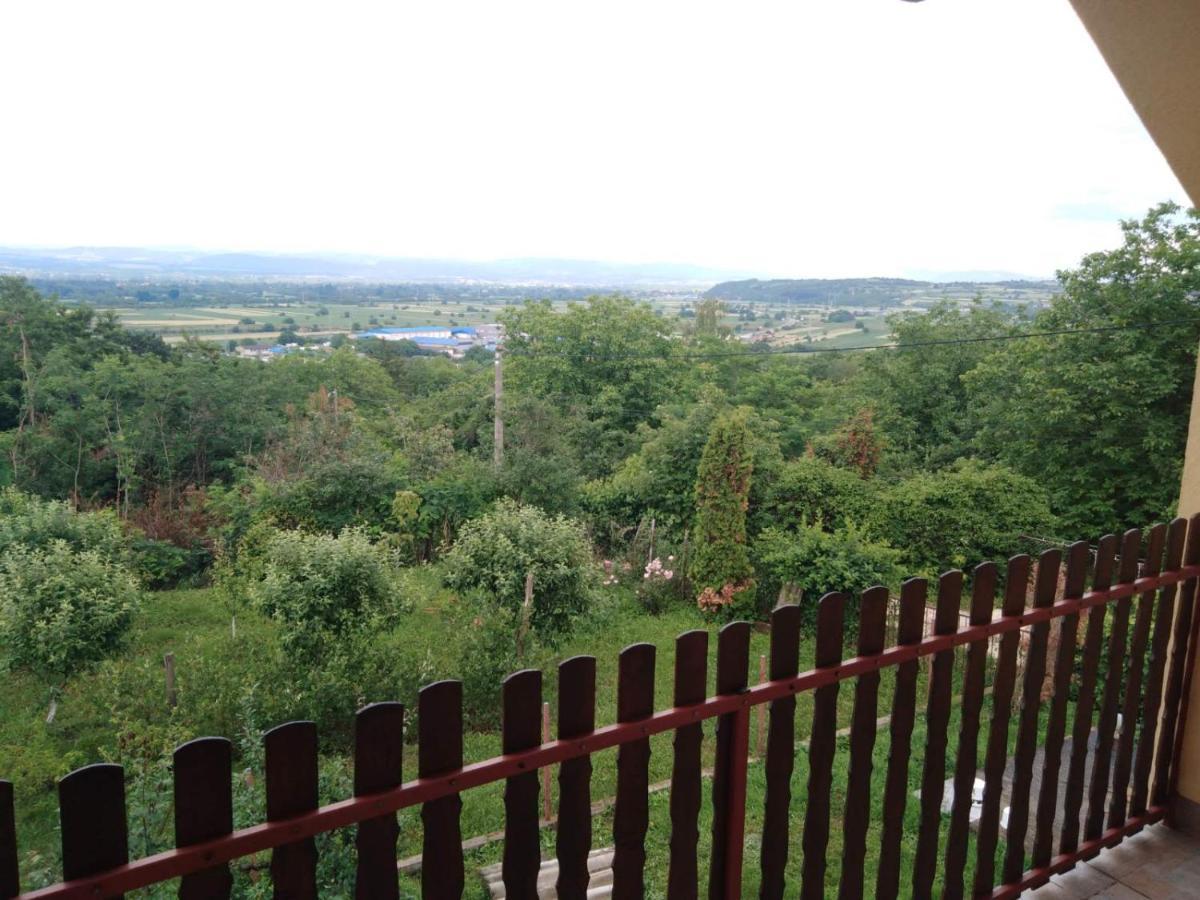 Dedinje Villa Jagodina Eksteriør bilde